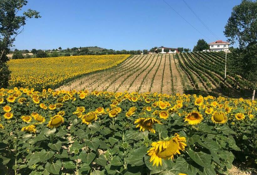 민박 Tenuta Morganti