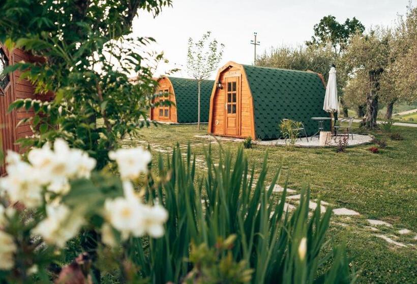 مبيت وإفطار Tenuta Morganti