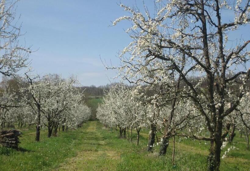 צימר Val De Costes