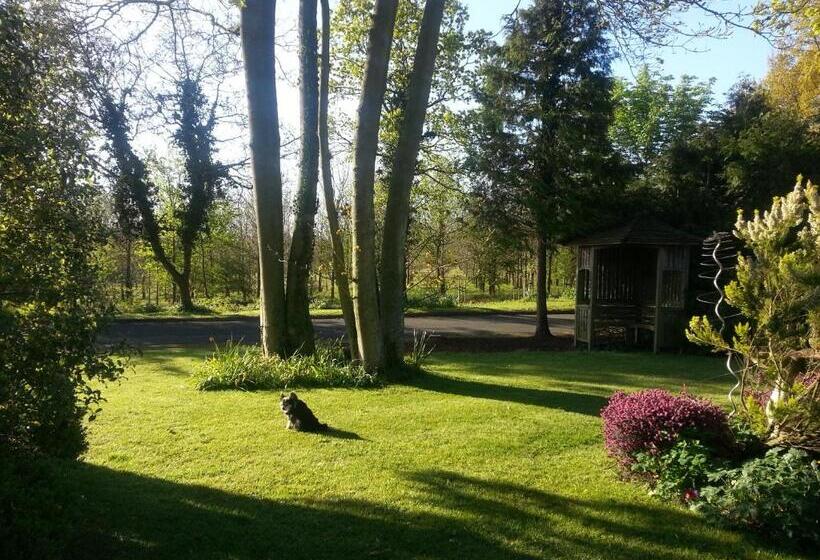 Folly Studio Bed And Breakfast