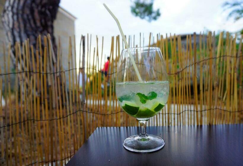 Hostel Casa Do Pinheiro