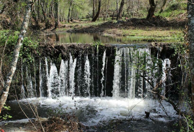 Hostel Casa Do Pinheiro