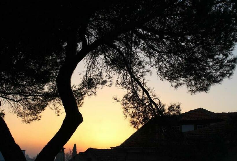 Hostel Casa Do Pinheiro