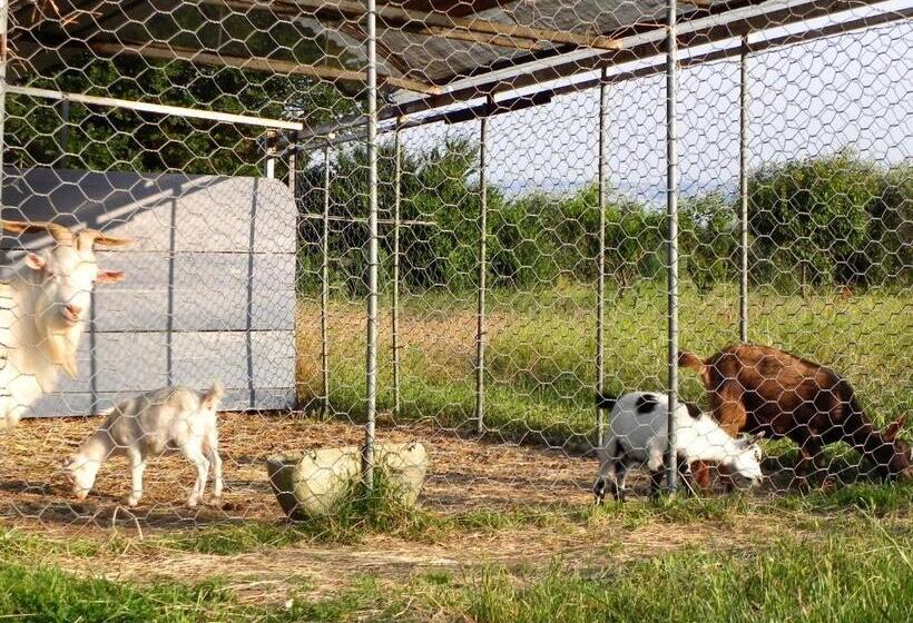 בית מלון כפרי Agriturismo 30