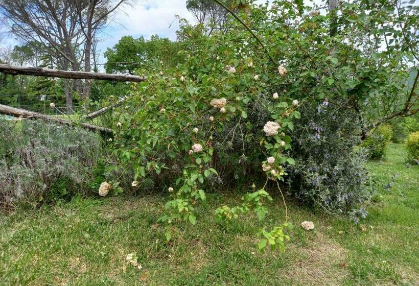 בית מלון כפרי Agriturismo Riparossa