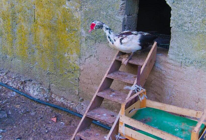 בית מלון כפרי Agriturismo Satanca