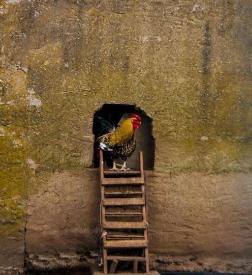 בית מלון כפרי Agriturismo Satanca