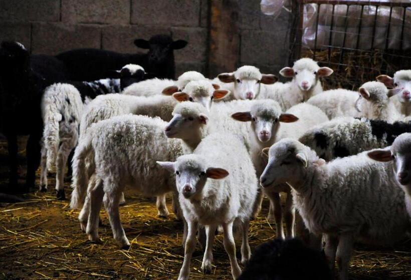 בית מלון כפרי Agriturismo Satanca