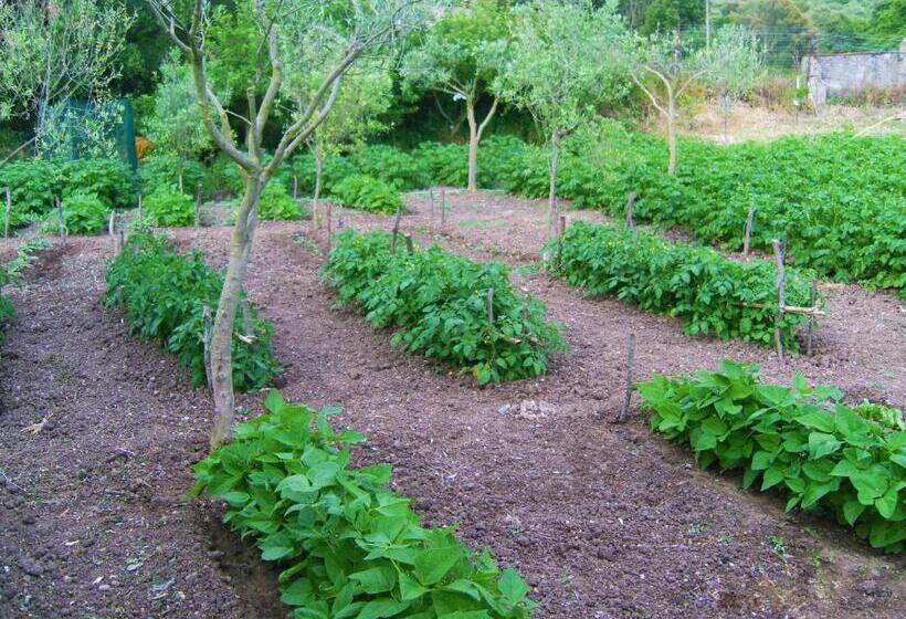 בית מלון כפרי Agriturismo Satanca