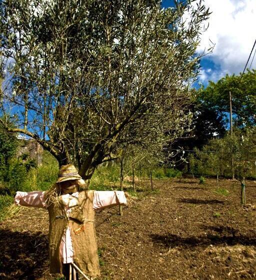 فندق Agriturismo Satanca