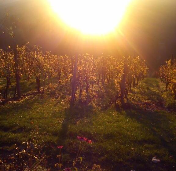 هتل Agroturism Jures