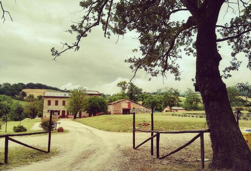 בית מלון כפרי Da Foschetta