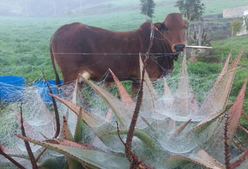 Hotel Die Hoenderhok And Die Plaashuisie