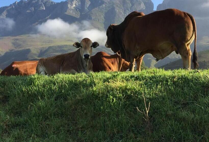 Hotel Die Hoenderhok And Die Plaashuisie