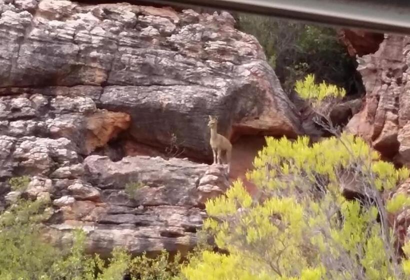 בית מלון כפרי Kleinfontein