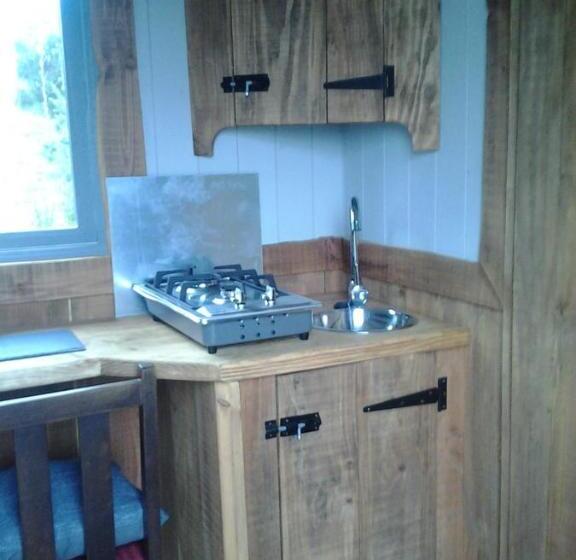 בית מלון כפרי Berwyn Shepherds Hut