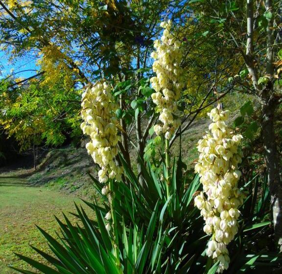 호텔 Quinta Da Chouza Agroturismo E Enoturismo