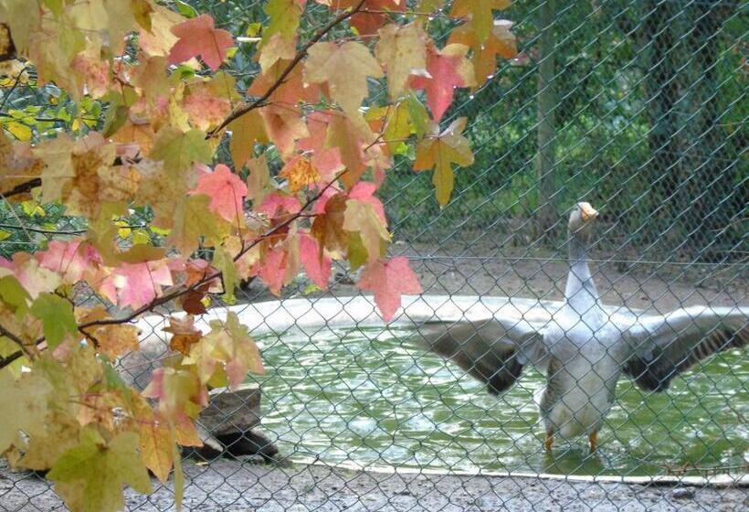 호텔 Quinta Da Chouza Agroturismo E Enoturismo