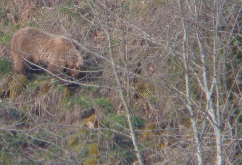 בית מלון כפרי Rural La Pista