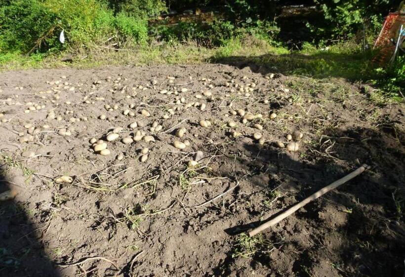 בית מלון כפרי Rural La Pista