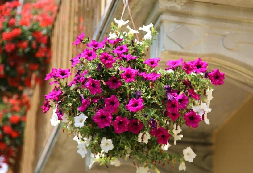 La Bella Dormiente B&b