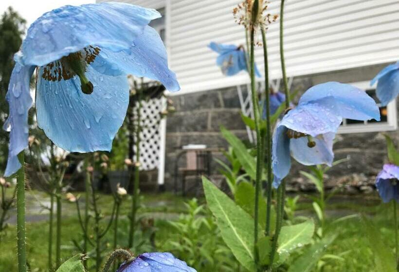 ペンション Arctic Garden