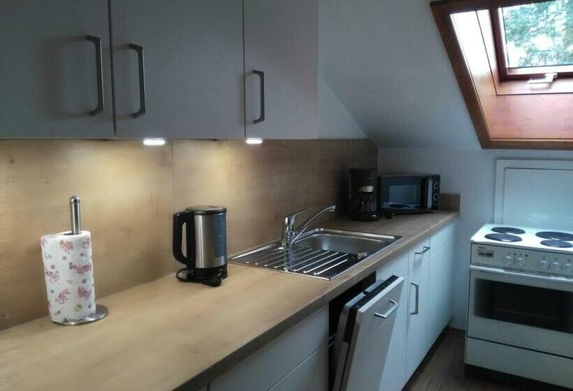 Пансион Berghof Mehlan