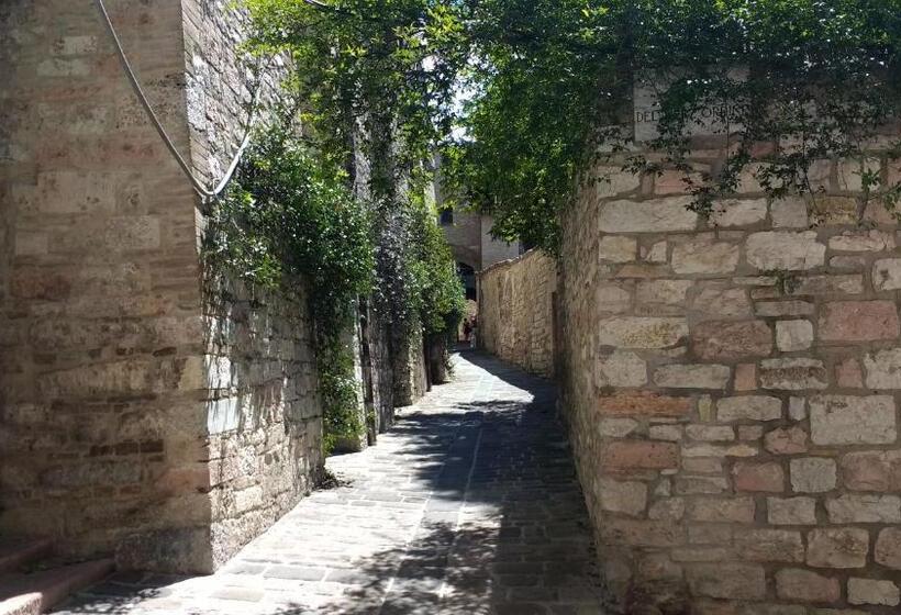 پانسیون Camere Calocci