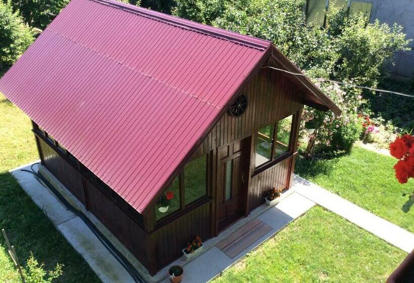 펜션 Casa Andrada & Ilinca