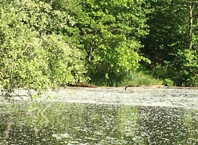 Пансион Cottagenumber9