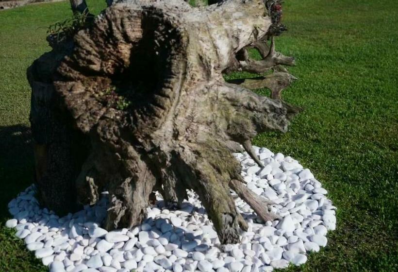 펜션 Funileiro, Apartamentos E Quartos