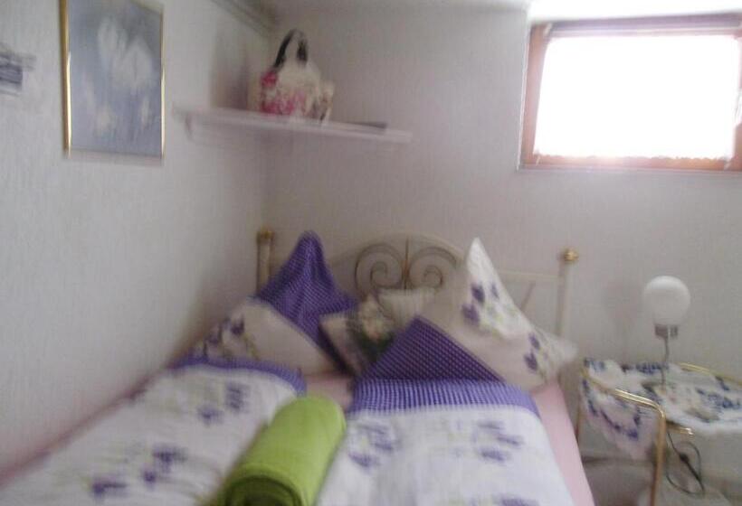 פנסיון Gästehaus Baur