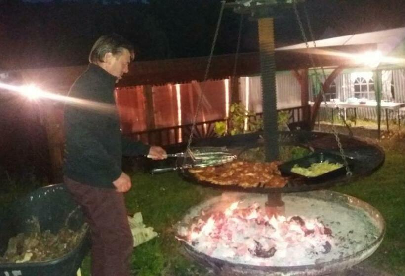 بنسيون Gästehaus Weingut Michael Scholer