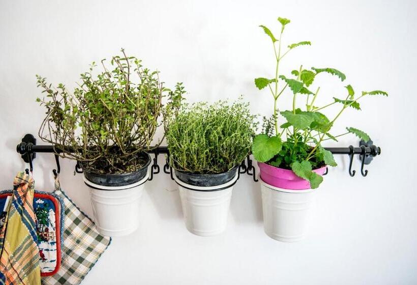 펜션 Il Giardino Di Lavanda