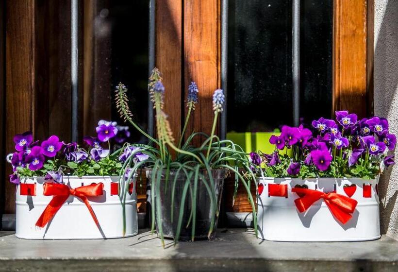 펜션 Il Giardino Di Lavanda