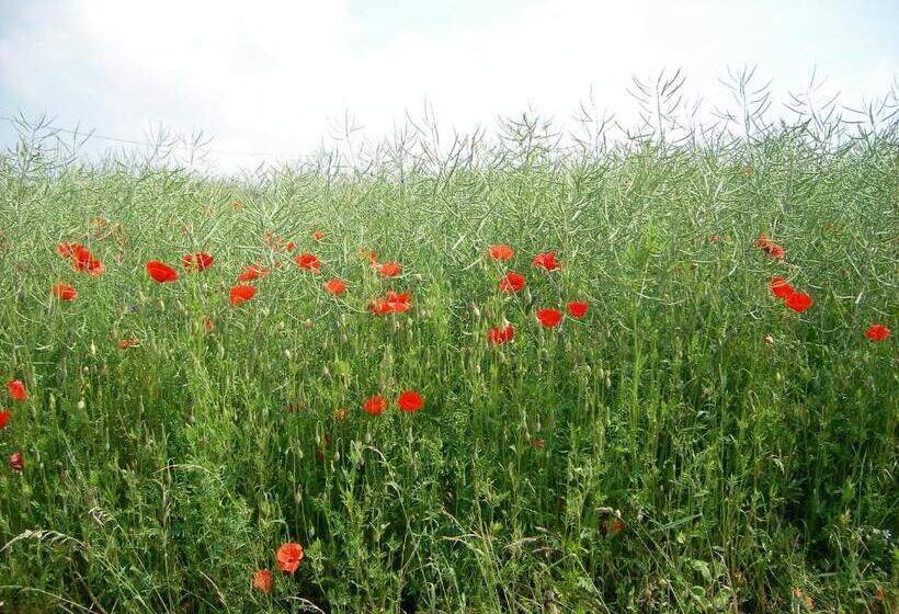 膳宿费 Landhaus Bad Bertrich