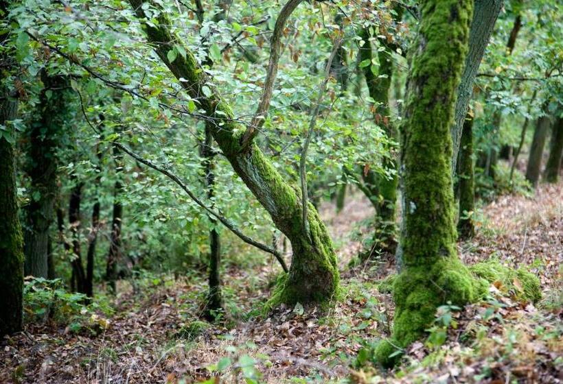 膳宿费 Landhaus Bad Bertrich