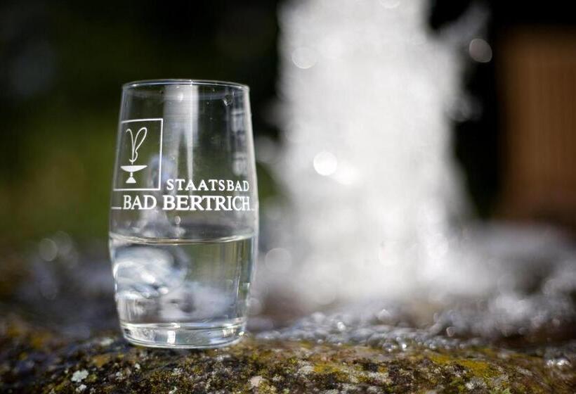 膳宿费 Landhaus Bad Bertrich