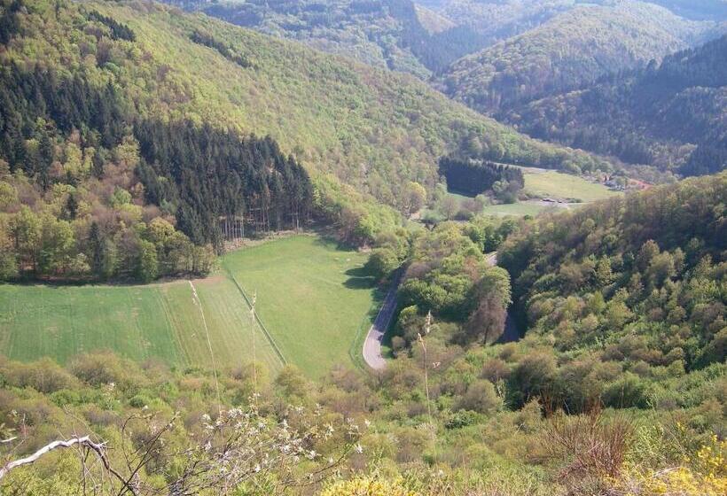 膳宿费 Landhaus Bad Bertrich