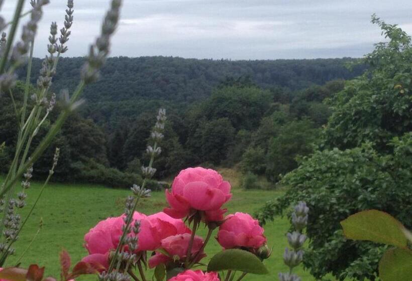 膳宿费 Landhaus Bad Bertrich