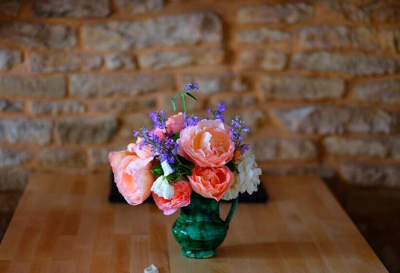 膳宿费 Le Gratin Mondain