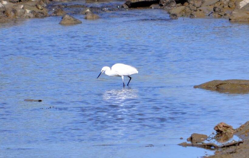 膳宿费 Moinhos Das Marés