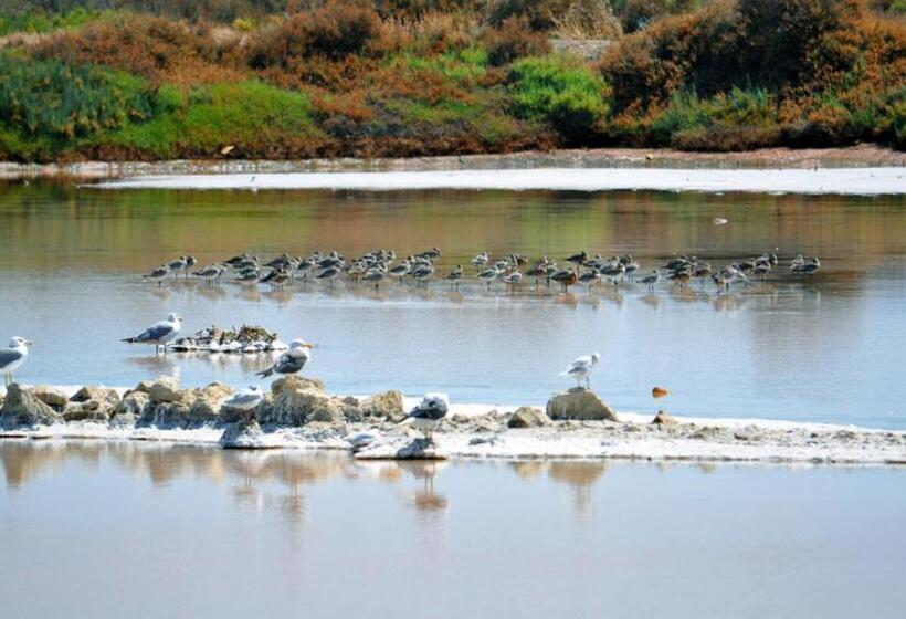 膳宿费 Moinhos Das Marés