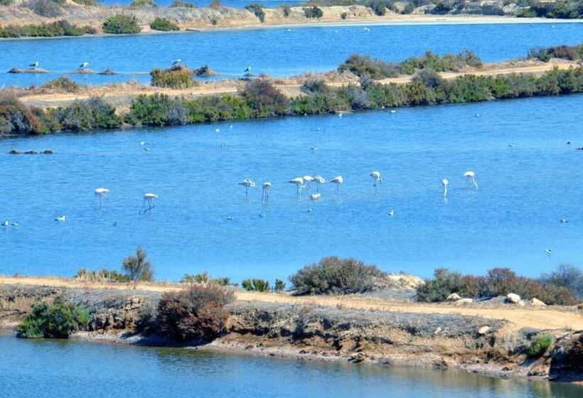 膳宿费 Moinhos Das Marés