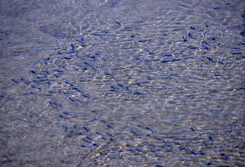 膳宿费 Moinhos Das Marés