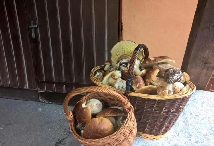 بنسيون Penzion Jizerka