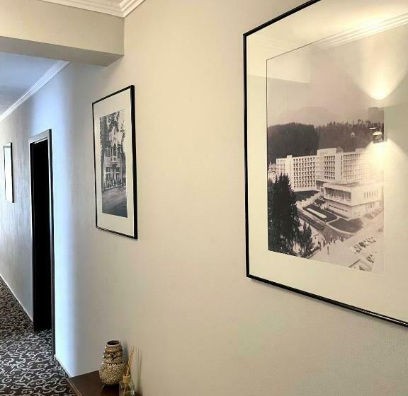 بنسيون Vila Luminita