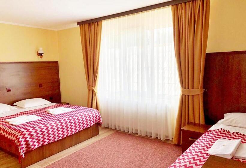 بنسيون Vila Luminita