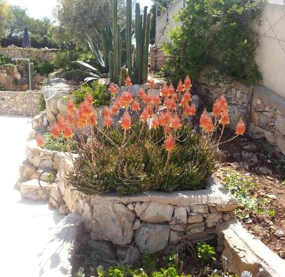 بنسيون Villa Cà Del Mar