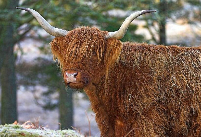 Riverside Cottage B&b